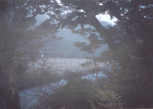 3. MccKellar Hut Swingbridge